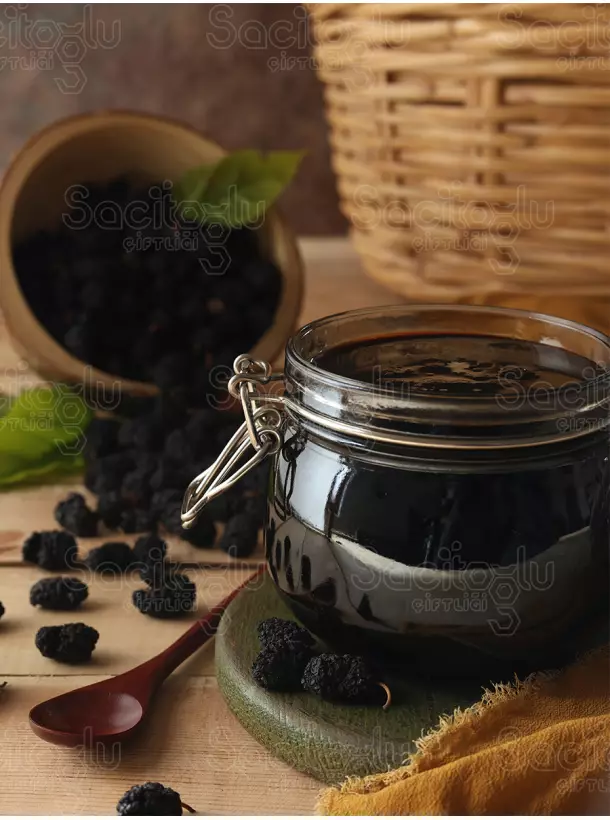 Karadut Pekmezi