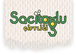 SACITOGLU GIDA İNŞAAT SAN. ve TİC. LTD. ŞTİ.